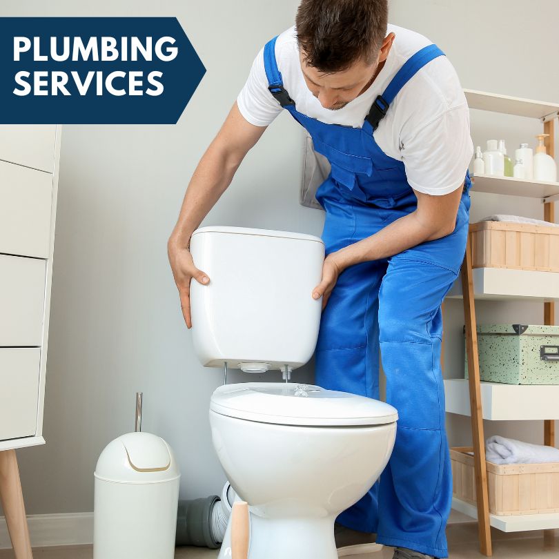 Plumbing Company in Lyndon, IL